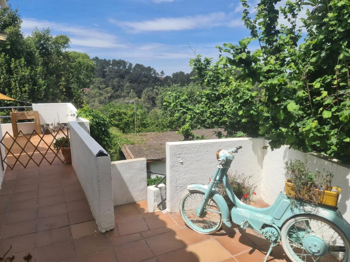 Nature Oasis Near Barcelona With Swimming Pool Parties Not Allowed Сан-Кугат-дал-Бальєс Екстер'єр фото